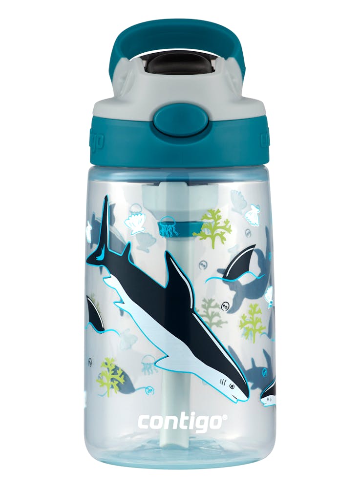 Contigo® Kids Straw Water Bottle with AUTOSPOUT® Lid, 14oz v2RG