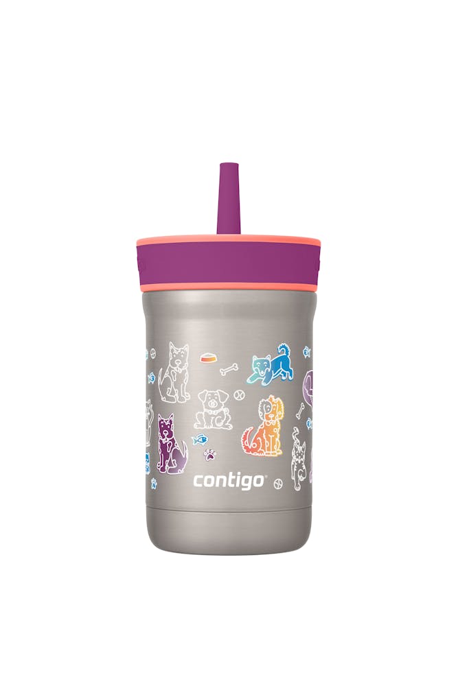 Contigo® Kids Leighton Spill-Proof Stainless Steel Tumbler with Straw, 12oz PJ2J